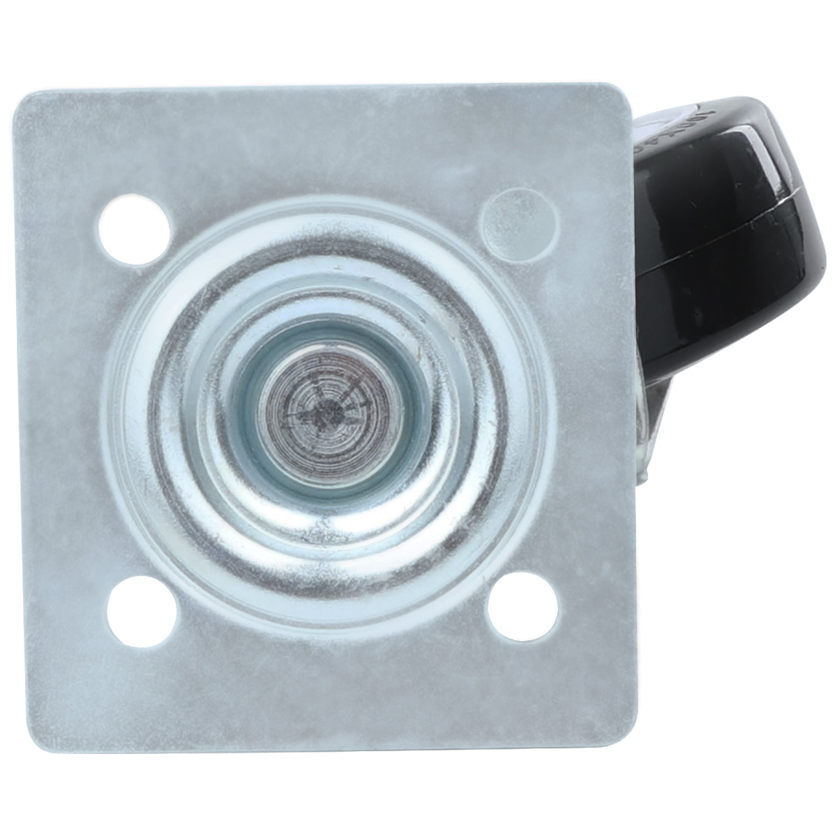 107050026 Caster (without Brake) Empura